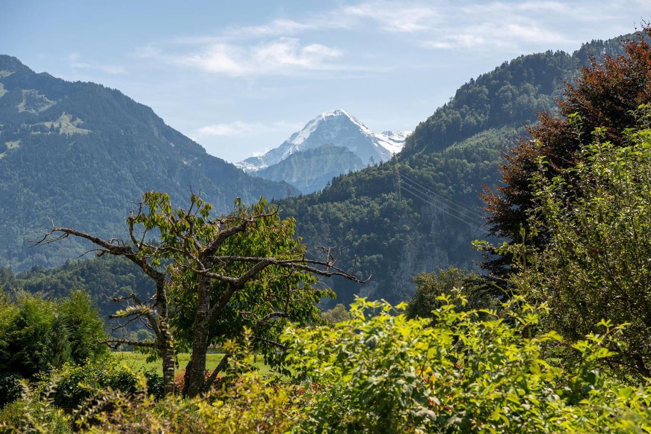 Salzano Basic Rooms Interlaken Unterseen Экстерьер фото