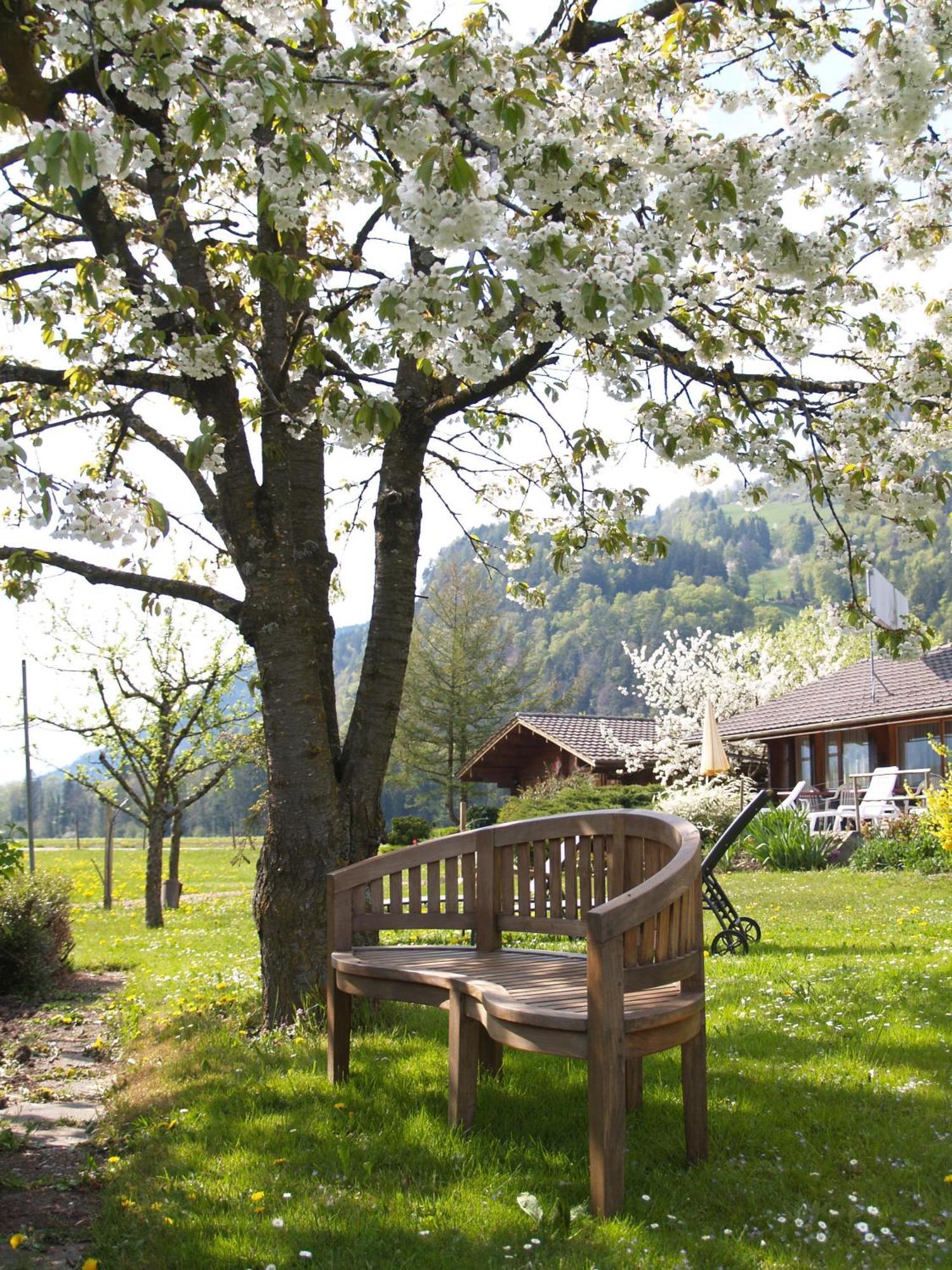 Salzano Basic Rooms Interlaken Unterseen Экстерьер фото